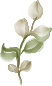 leaves greenery pastel illustration isolated clipart