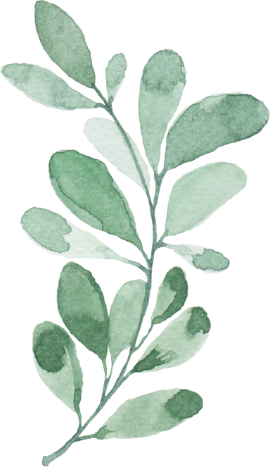 Watercolor Green Plant